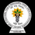 Shri Kalbhairaveshwara Swami Ayurveda Medical College logo