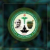Mahatma Gandhi Ayurvedic Medical College logo