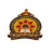 JS Ayurveda College logo