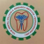 PDM Dental College and Research Institute logo