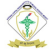 National Capital Region Institute of Medical Sciences, Meerut